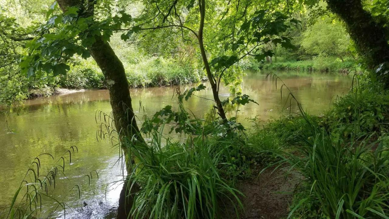 Hébergement de vacances Maisonnette Avec Cour *
